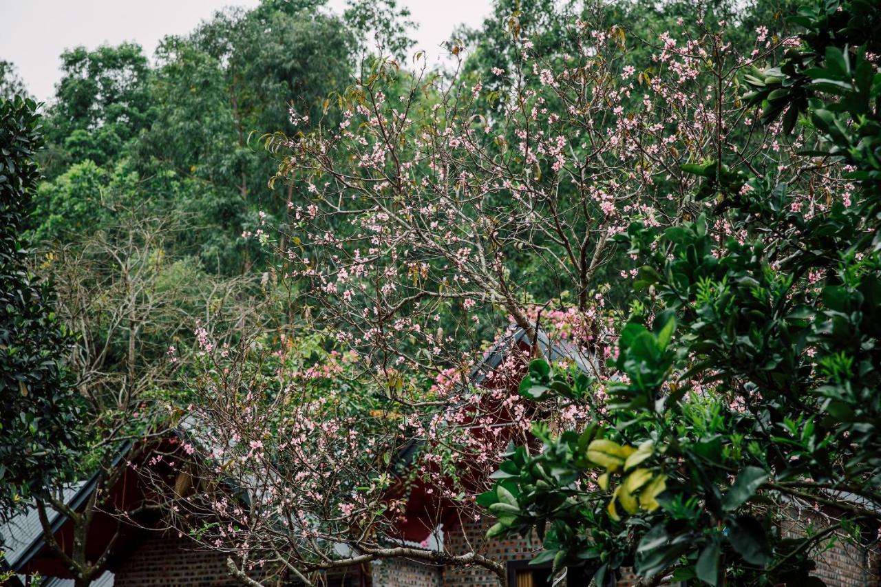 Cat Ba Spring Garden Homestay Hien Hao ภายนอก รูปภาพ
